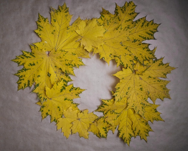 l'automne. feuilles d'érable jaunes se trouvent vinke. le fond est en papier Kraft.