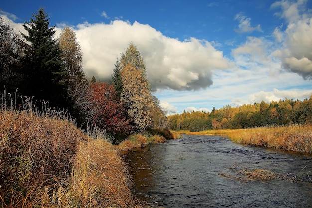 Automne forêt paysage rivière incroyable fond d'automne