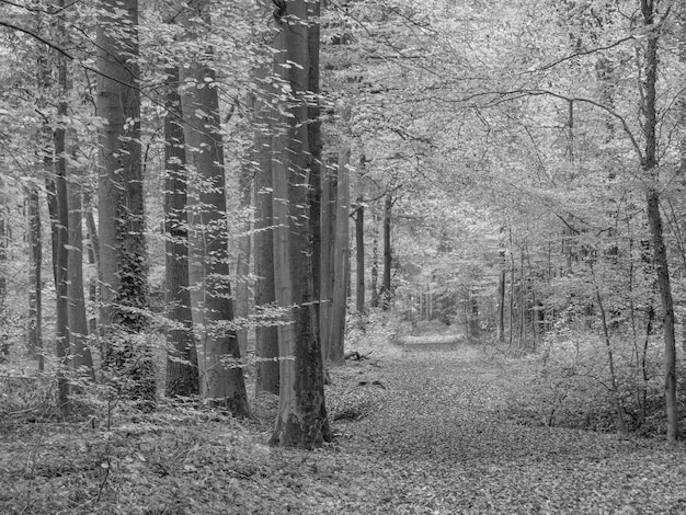 Photo À l'automne à gemen