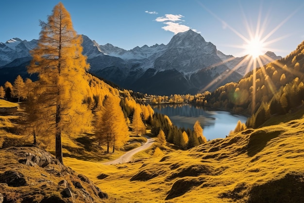 L'automne glorieux embrasse le lever d'or dans la splendeur alpine du Hochschwab en Autriche