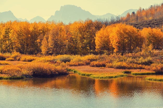 L'automne à Grand Teton