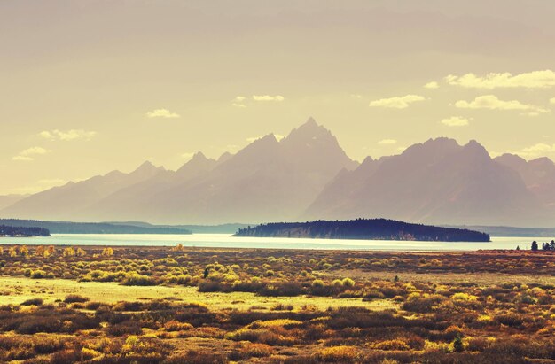 L'automne à Grand Teton