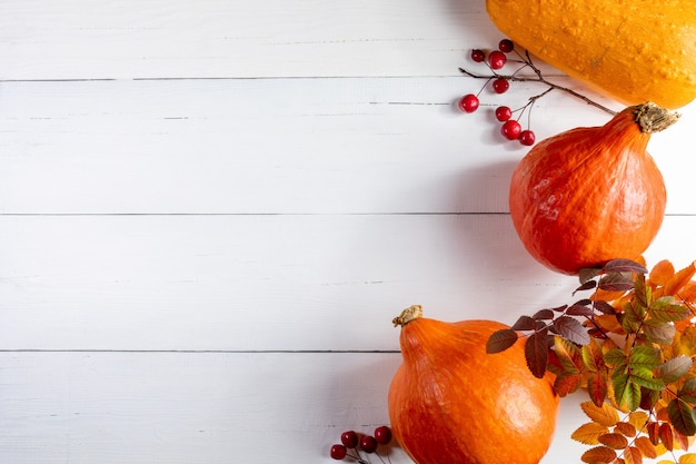 Automne ou Halloween ou fond horizontal d'action de grâces. Vue de dessus citrouilles orange mûres, brindille de pommier sauvage rouge, feuilles d'automne colorées sur fond de bois blanc. Maquette d'automne. Copiez l'espace pour le texte.