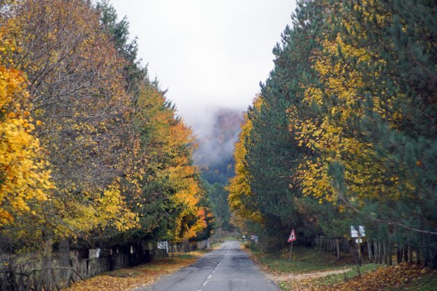 Automne en Italie Calabre