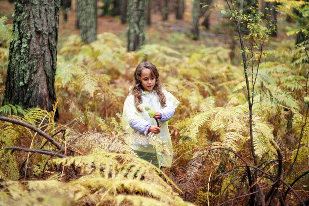 Automne en Italie Calabre