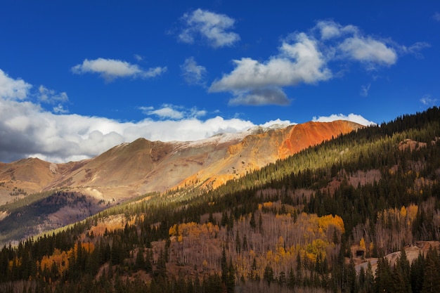 Automne jaune coloré dans le Colorado, aux États-Unis. Automne.