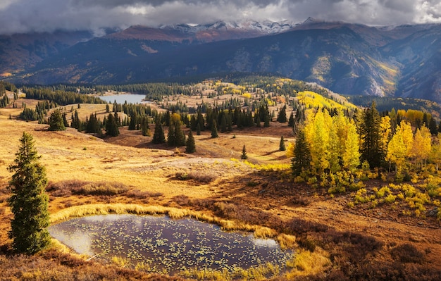 Automne jaune coloré dans le Colorado, aux États-Unis. Automne.