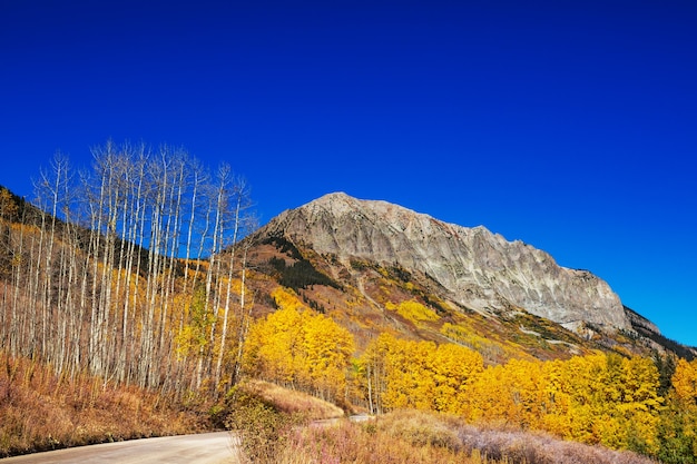 Automne jaune coloré dans le Colorado, États-Unis. Automne.