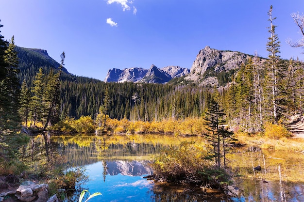 Automne jaune coloré dans le Colorado, États-Unis. Automne.