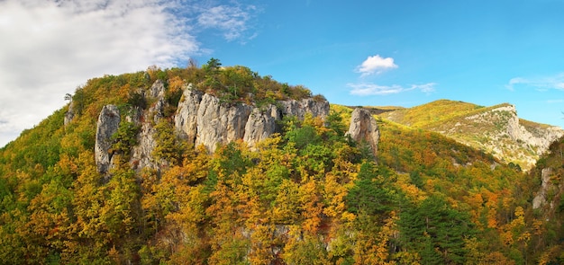 Automne en montagne. Composition de la nature.