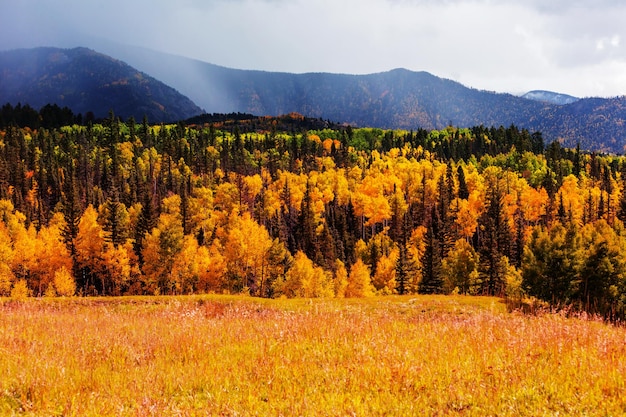 L'automne en montagne