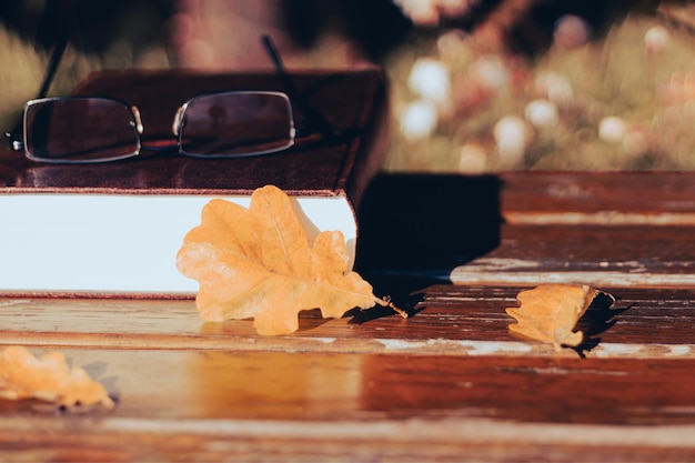 Automne nature morte sur le banc se trouve un livre avec des lunettes et une feuille jaune Arrière-plan avec espace de copie