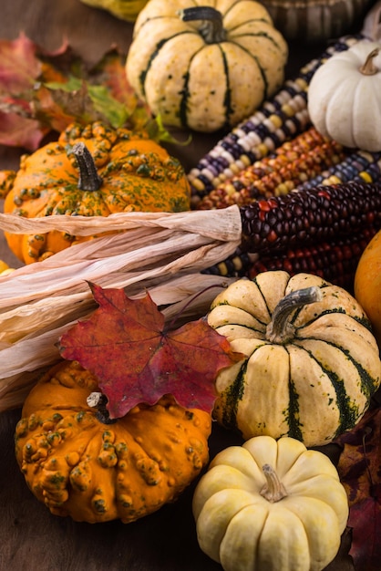 Automne nature morte à la citrouille