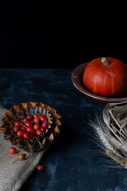 Automne nature morte dans un style dramatique citrouille rouge et baies sur fond sombre