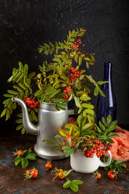 Automne Nature Morte Avec Rowan