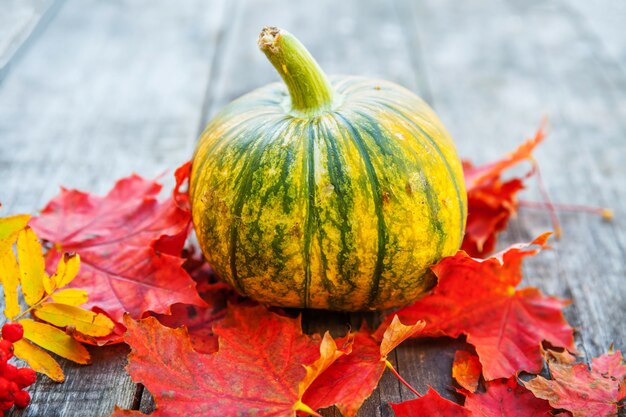 Automne naturel vue automne citrouille et feuilles d'érable sur fond de bois