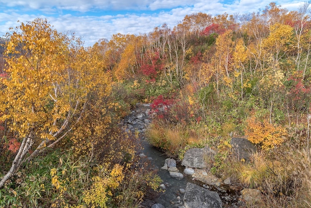 Photo automne onsen lac aomori japon