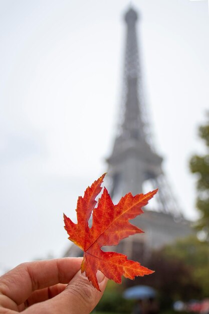 Photo l'automne à parisparis est un lieu d'amour et de rencontres romantiques
