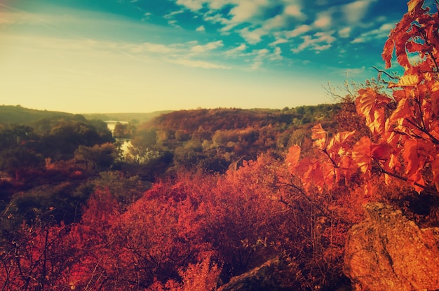 Automne rural beau paysage avec rivière et arbres colorés, fond vintage saisonnier