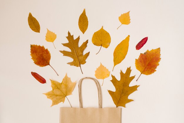 Automne shopping avec des réductions. Soldes d'automne. Sac de magasinage en papier beige, d'où sortent les feuilles jaunes d'automne.