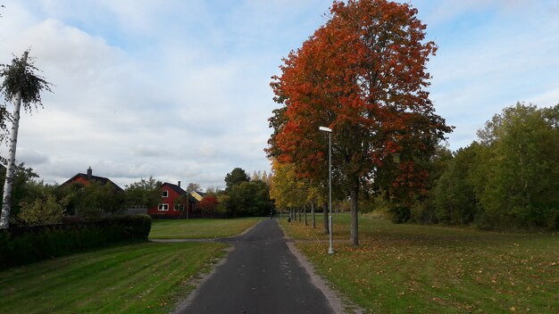 Photo automne en suède