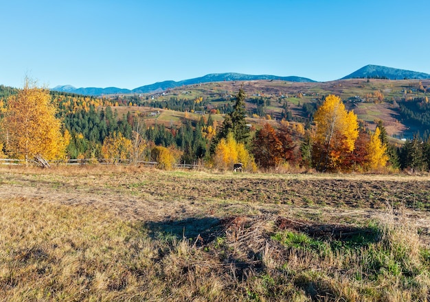 Automne village des Carpates Ukraine