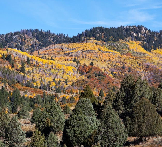 L&#39;automne