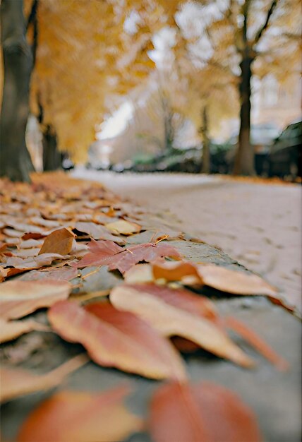 À l'automne