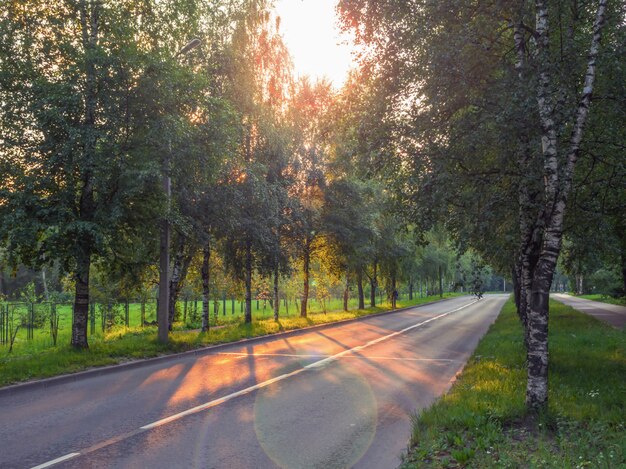 Autoroute avec arbres sur le côté et soleil du soir.