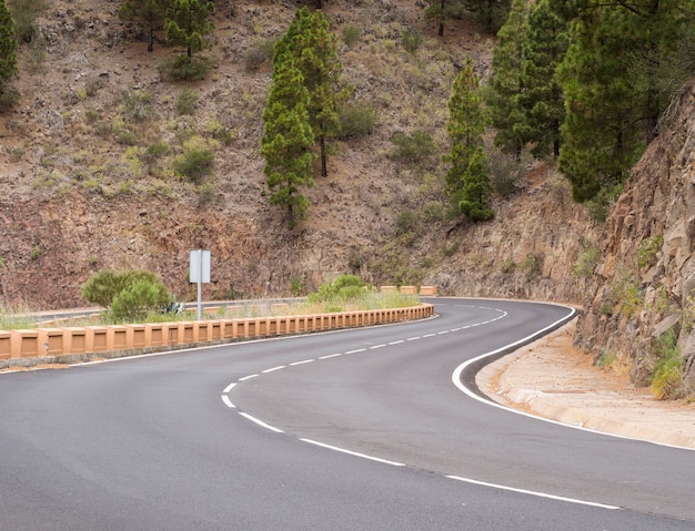 Autoroute Entourée De Pins