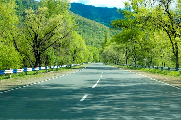 L'autoroute est dans la forêt verte.