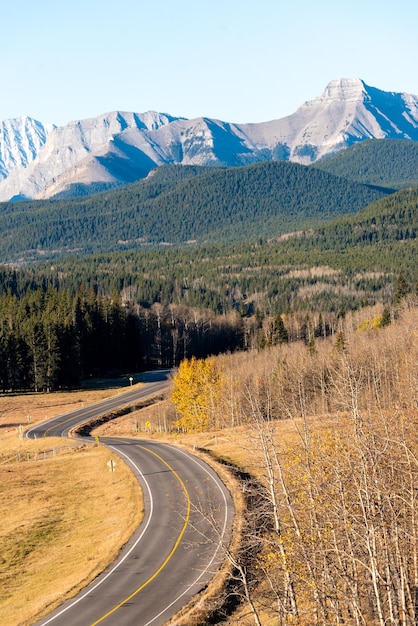 Photo l'autoroute de montagne sinueuse dans les rocheuses canadiennes du parc d'alberta