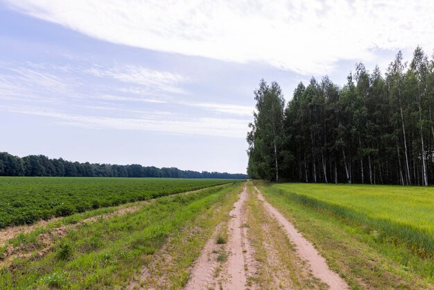 Autoroute non goudronnée dans les zones rurales