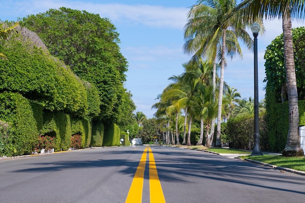 Autoroute vide avec marquage jaune et palmiers sur l'avenue