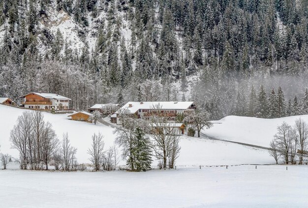 autour du Hintersee en hiver