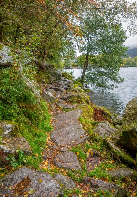 autour du lac de Gerardmer en France