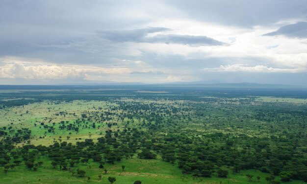 autour de la forêt impénétrable de Bwindi en Ouganda