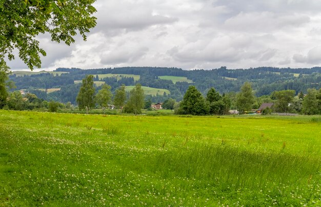 Autour d'Immenstadt en Bavière