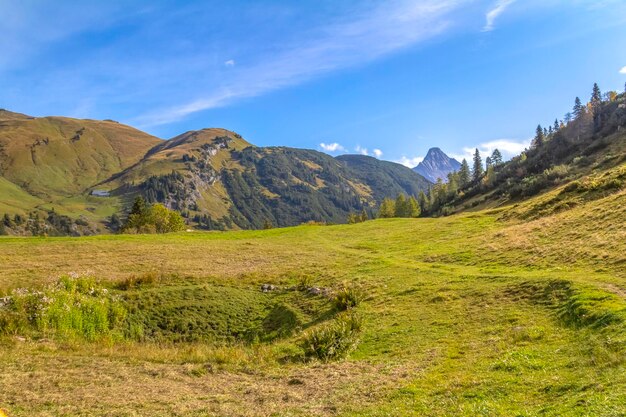 Autour de Warth en Autriche