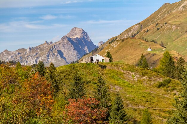 Autour de Warth en Autriche