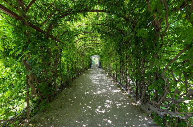 Autriche Palais de Schönbrunn Jardins royaux impériaux à Vienne