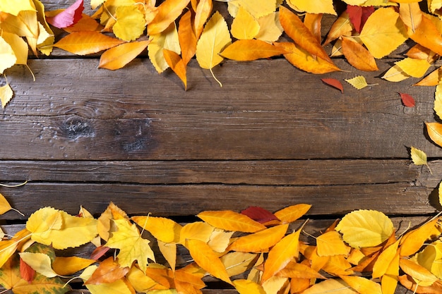 Autumn leaves sur fond de bois