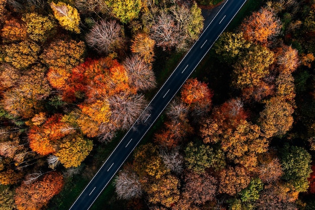 Autumn d'or à plein cadre Arial 02