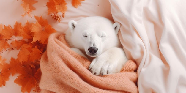 Autumn Warm Pet Bear Sleep Arrière-plan L'ours en peluche du jour de la récolte d'Halloween