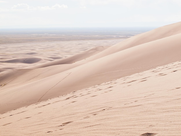 Avant le coucher du soleil à Great Sand Dunes National Park, Colorado.