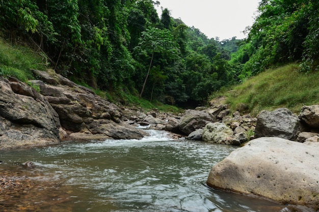 Aventure au milieu de l'eau.