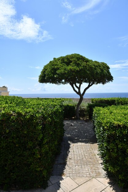 Photo l'avenue d'une rue à santa cesarea terme, un village apulien en italie