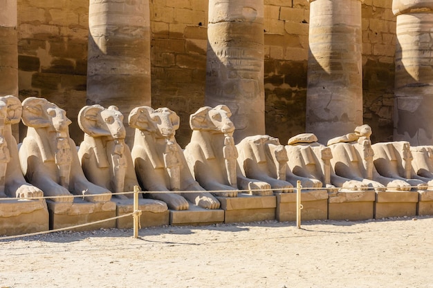 Avenue des sphinx à tête de bélier dans un temple de Karnak Louxor Egypte