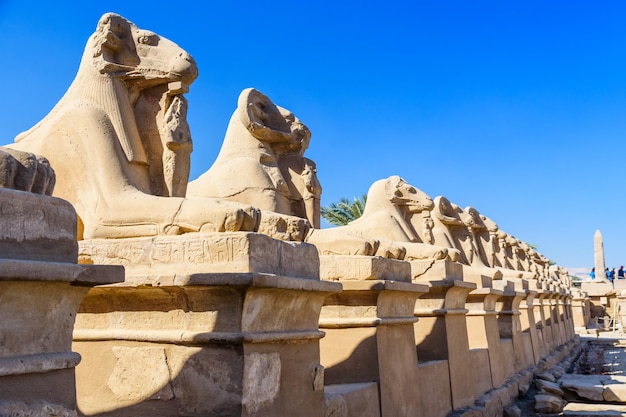 Avenue des sphinx à tête de bélier dans un temple de Karnak Louxor Egypte