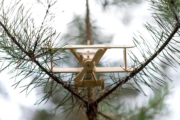 Avion en bois sur un pin dans les bois